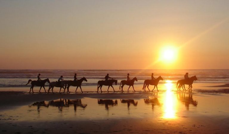 Paseos-Caballo-2.jpg