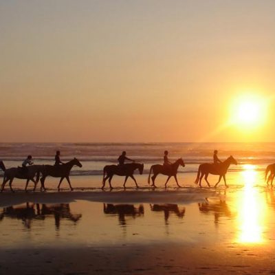 Paseos-Caballo-2.jpg